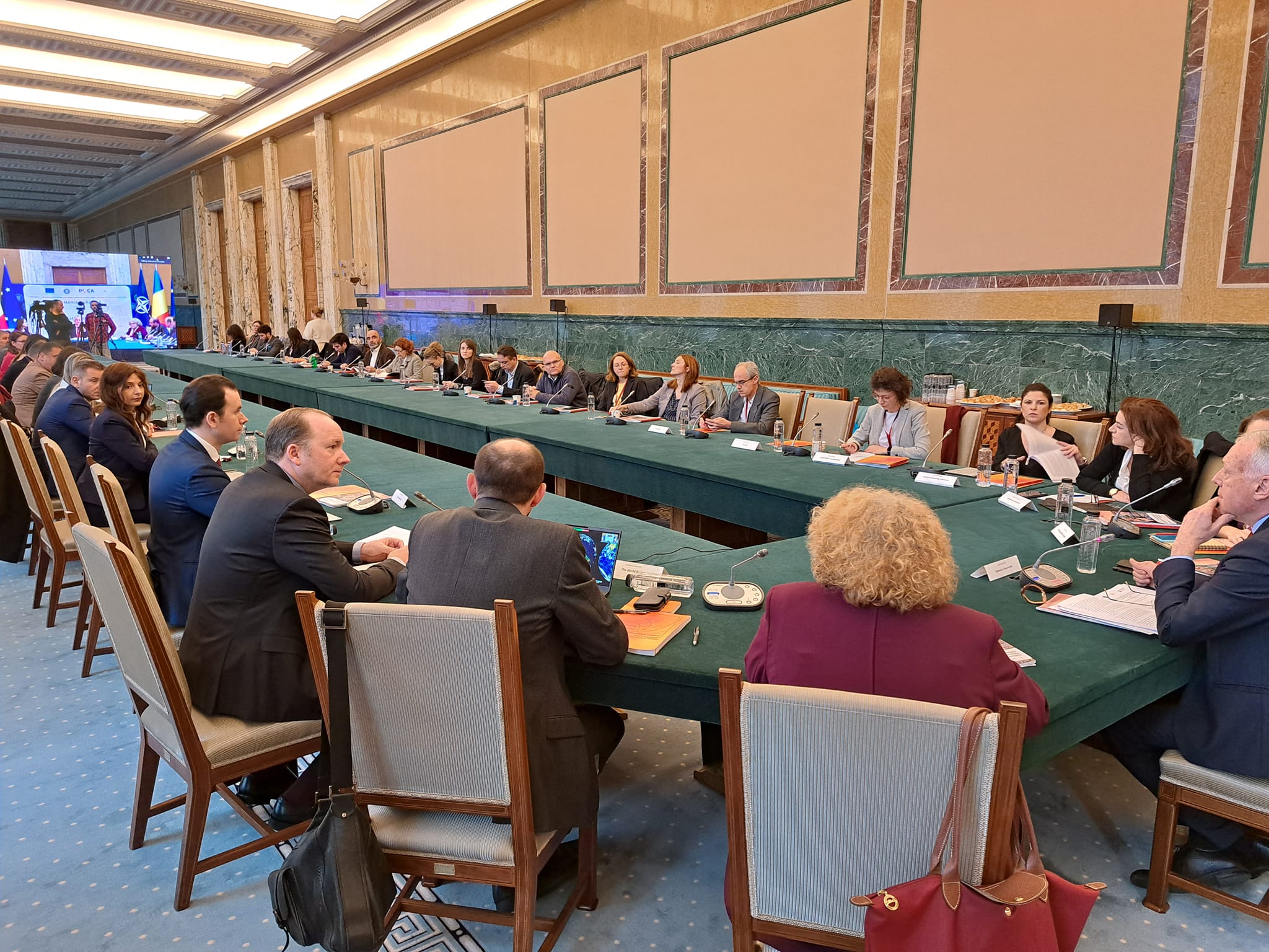 Lansarea SDSN România