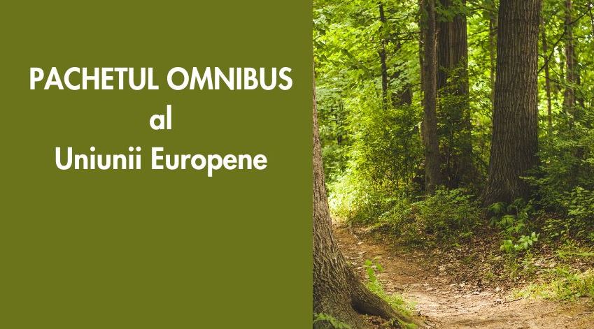 Lansarea SDSN România